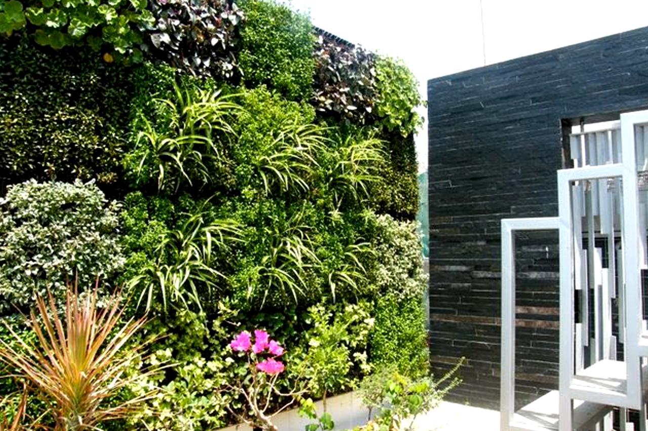 Sbl Farms Green walls and Living walls, Vertical Garden, Bio Curtains